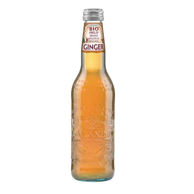 GALVANINA BIOFRUIT GINGER 355ml